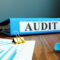 auditor xidmətləri