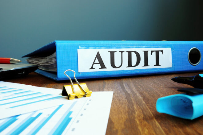 auditor xidmətləri