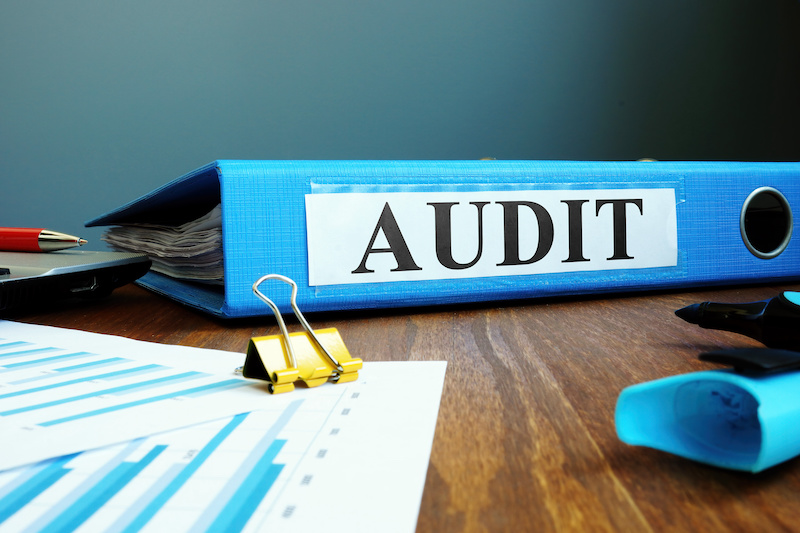 auditor xidmətləri
