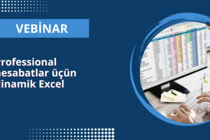 Professional hesabatlar