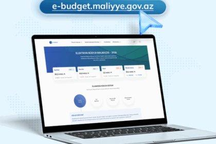 Elektron Büdcə Bələdçisi